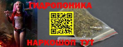 соль ск Пушкино