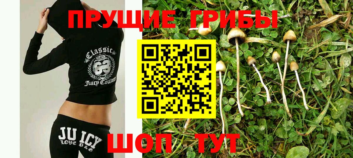 Северобайкальск  Псилоцибиновые грибы Magic Shrooms  Вход с VPN 